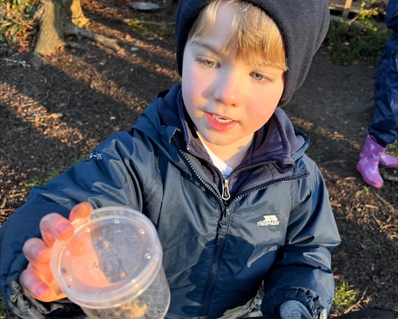 Identifying Wildlife